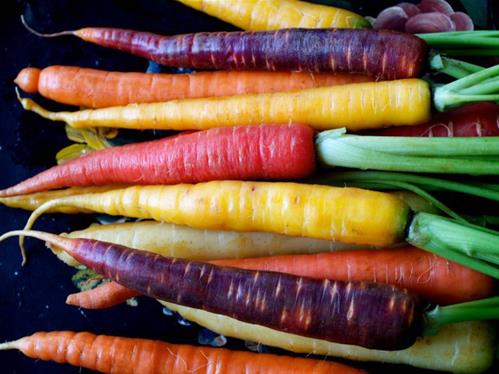 carote-multicolor-.jpg