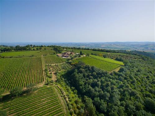 paesaggio.jpg