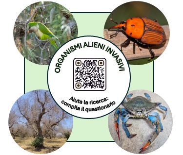 Adesivo Questionario_Alieni Agritech.jpg
