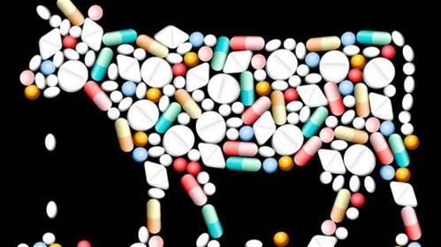 antibiotici bovini.jpg