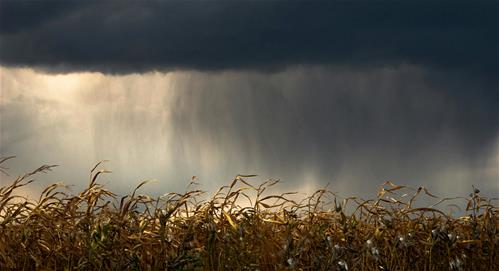 tempesta_campo_agricoltura.jpg