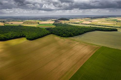 agricoltura-intensiva-vs-estensiva.jpg