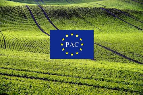 PAC.jpg