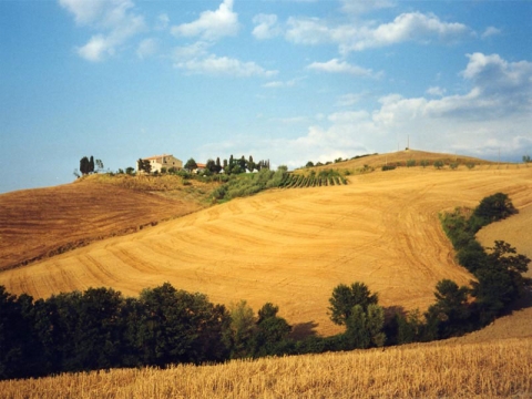 agricoltura.jpg