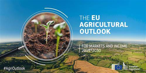 general-agri-outlook-2019_en.jpg