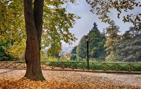 parco-leopardi-torino-633x400.jpg