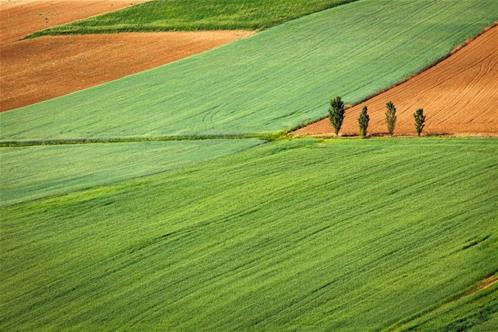 agricoltura.jpg
