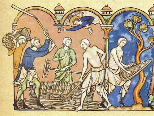 agricoltura medievale.jpg