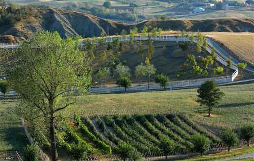 Rural-Festival-Area-di-biodiversità-agricola.jpg