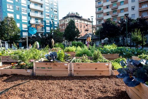 orti urbani.jpg