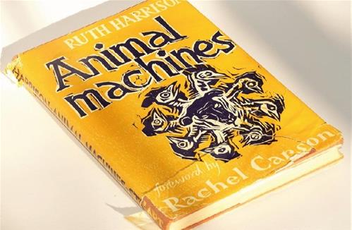 copertina libro.jpg