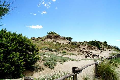 dune_tirrenia_22820.jpg