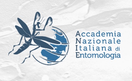 logo anie.jpg