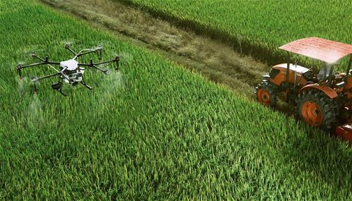 Agricoltura.jpg