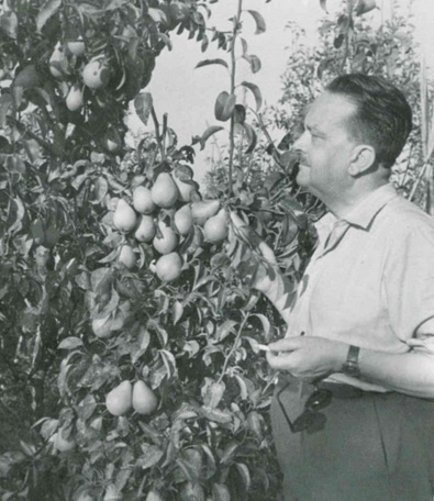 morettini.jpg