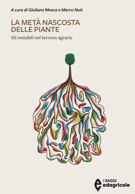 Immagine.jpg