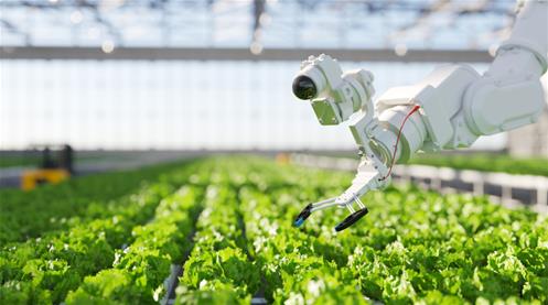 agricoltura innovativa.jpg