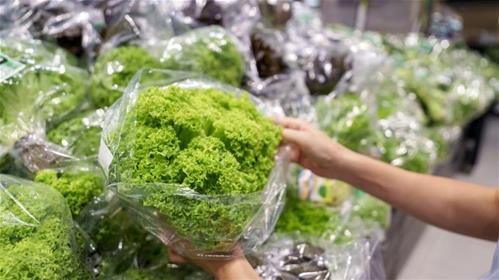 insalata in busta.jpg