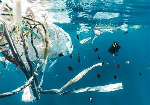 plastica in mare.jpg