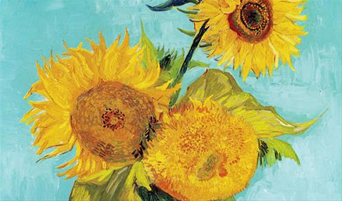 girasoli estate 2020.jpg