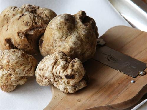 tartufo-bianco-alba-800x600.jpg