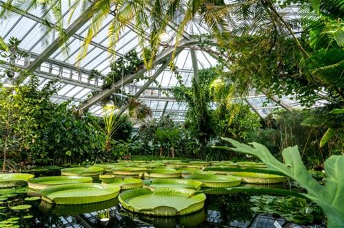 tropical_wetlands_greenhouse_2.jpg