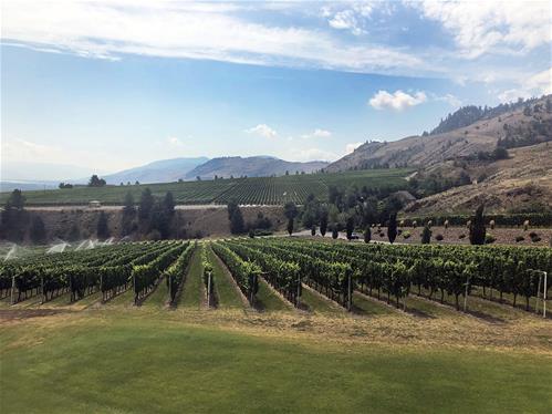 okanagan-valley-vigne.jpg