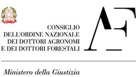 LOGO-CONAF-2.jpg
