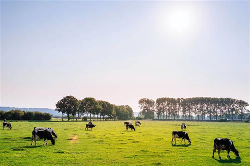 allevamento agricoltura.jpg
