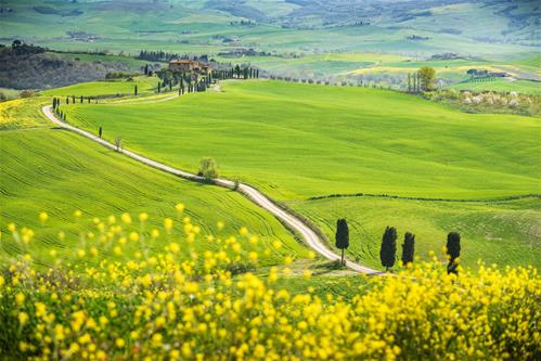 paesaggio.jpg