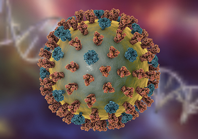 influenza-aviaria-virus.jpg