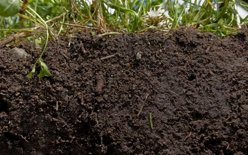 healthy-soil-1080x675.jpg