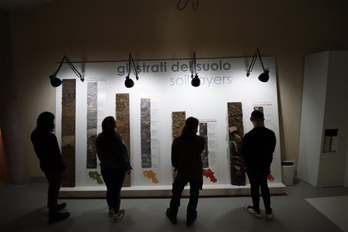2022_Museo del Suolo_Cestaro (179).JPG