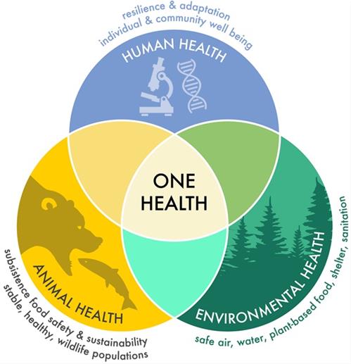 one-health-diagram-2.jpg