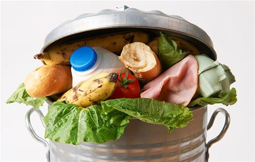food-in-trash.jpg