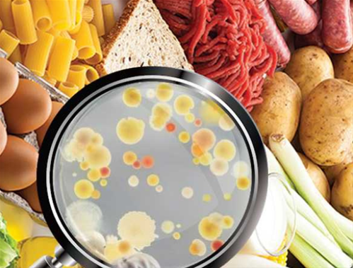microbiologia.png