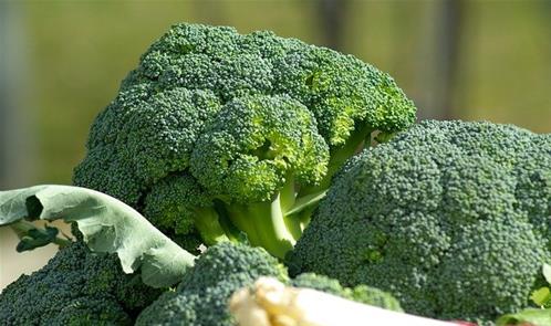 broccoli-6-1.jpg