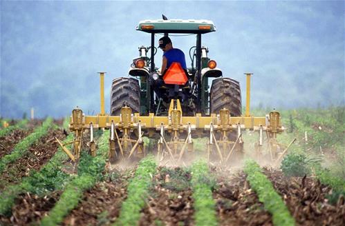 agricoltore.jpg