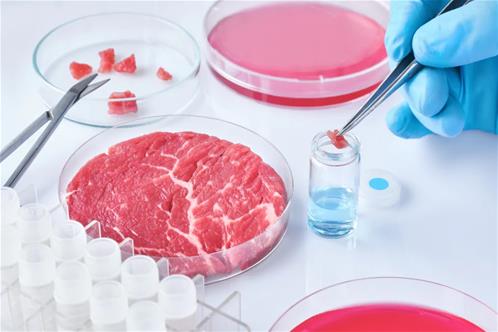 carne-sintetica-cibo-futuro.jpg