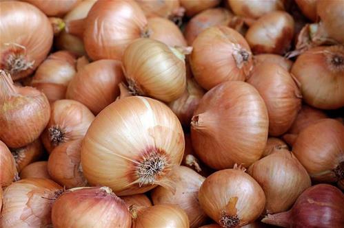 cipolla-di-vatolla.jpg