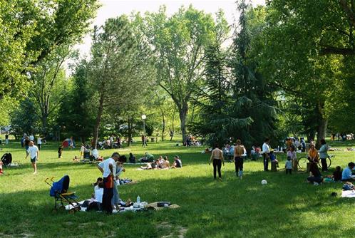 parco-del-marano.tif.jpg