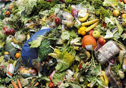 web-food-waste-getty.jpg