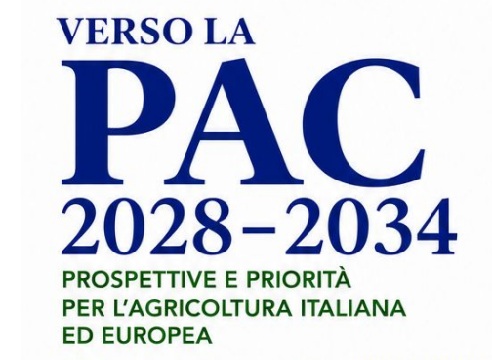 verso la pac.jpg