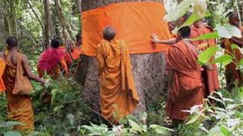 monaci buddisti.jpg