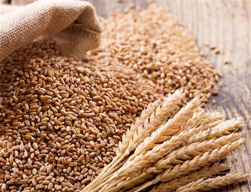 grano.jpg