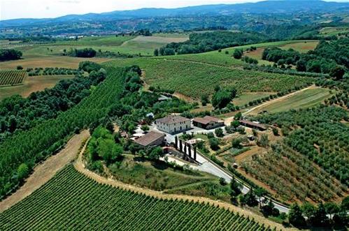 azienda-vinicola-in-toscana1.jpg