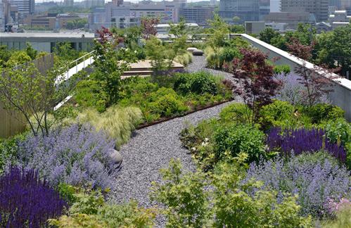 rooftop-garden-view.jpg