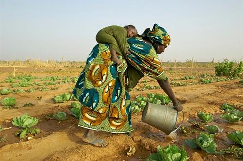 agricoltura-in-africa.jpg