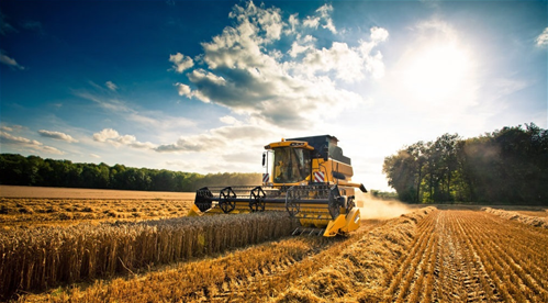 Agricoltura_Harvester_in_a_corn_fieldPreviewlarge.png