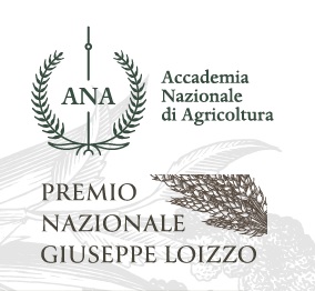 premio loizzo.jpg
